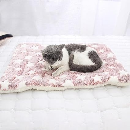 Plaid pour chat doux et luxueux