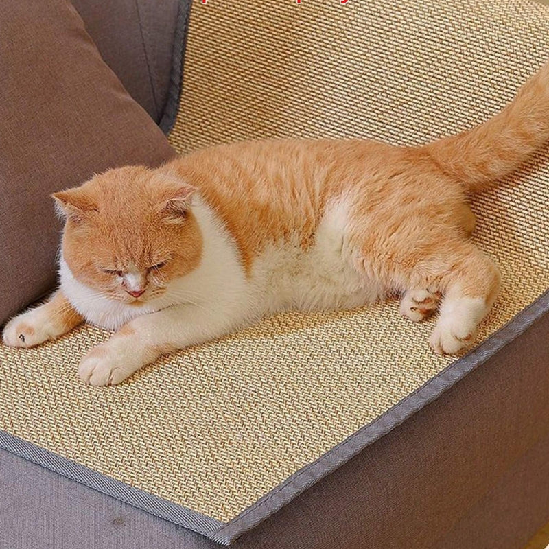 chat allongé sur le plaid anti griffe