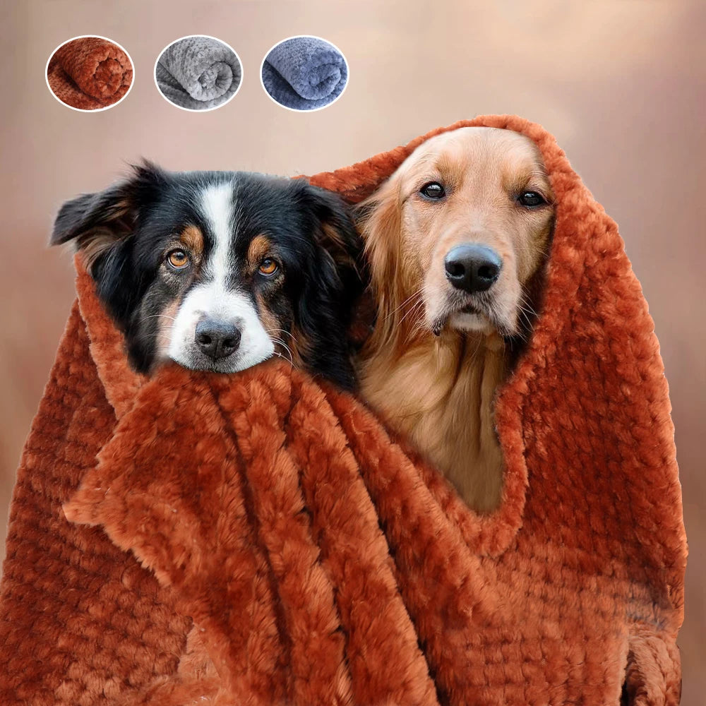 Plaid chien canapé moelleux