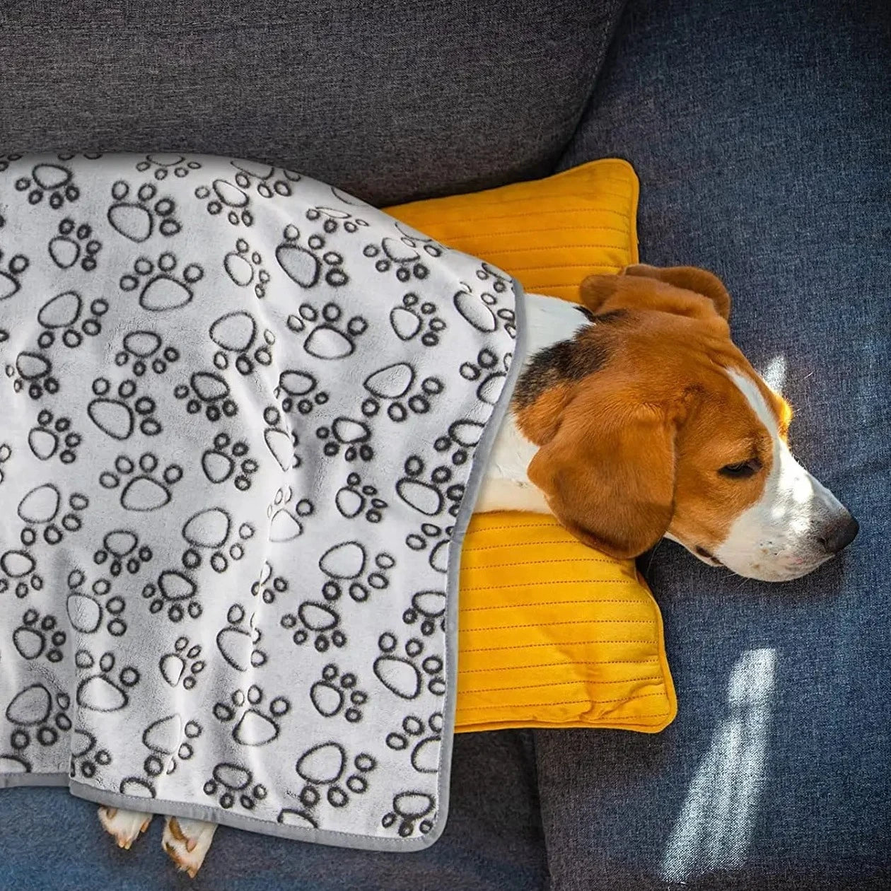 Plaid chien voiture confortable